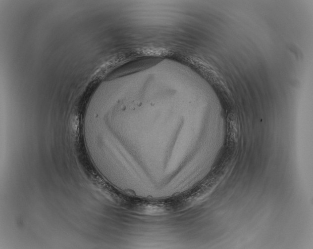 X0000111160308200907281158