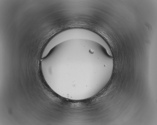 X0000111160309200907281158