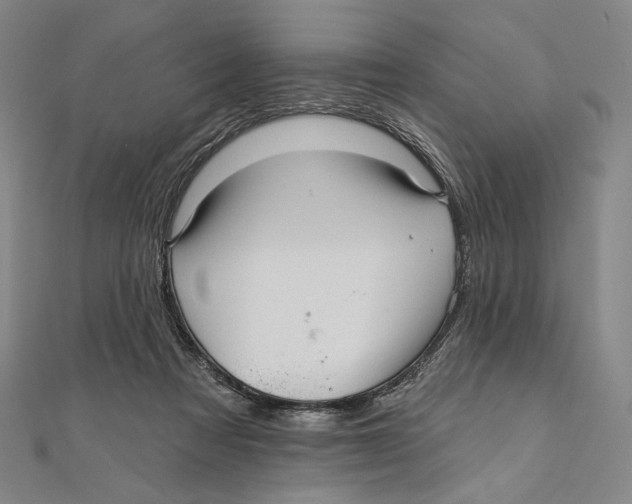 X0000111160313200907281158