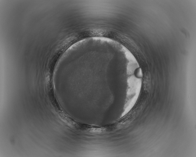 X0000111160314200907281158