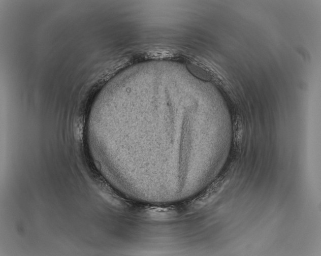 X0000111160315200907281158