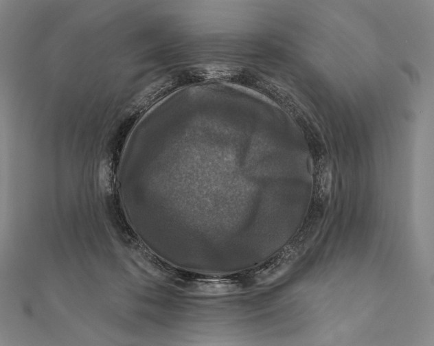 X0000111160316200907281158