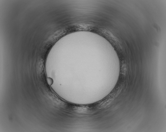 X0000111160318200907281158