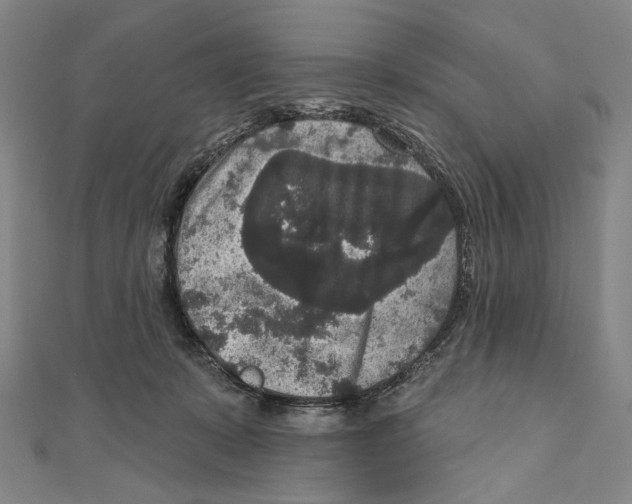 X0000111160319200907281158