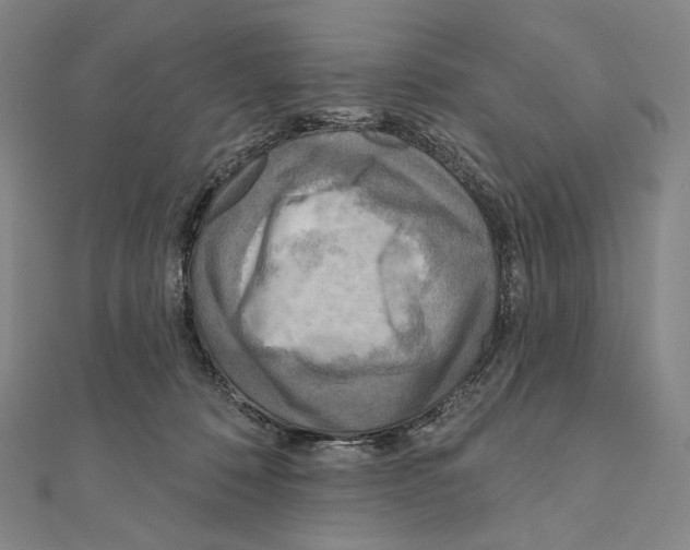 X0000111160320200907281158