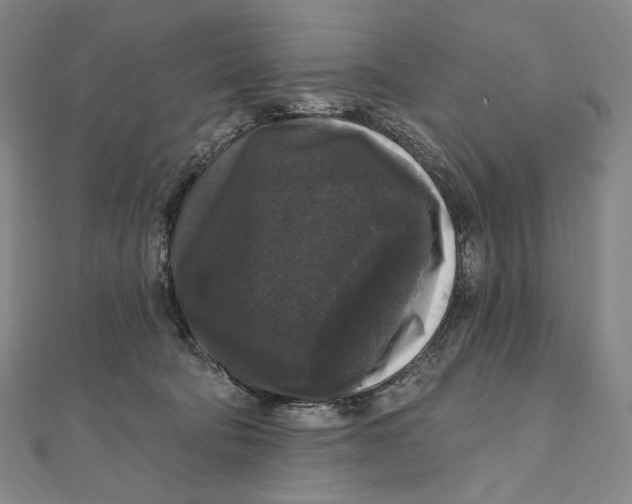 X0000111160322200907281158