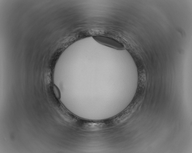X0000111160323200907281158