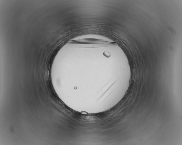 X0000111160324200907281158