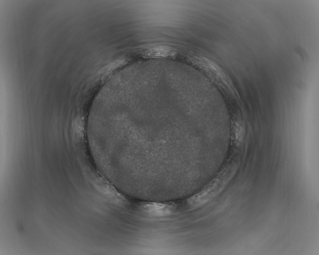 X0000111160326200907281158