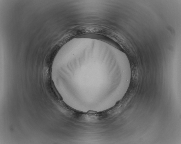 X0000111160327200907281158