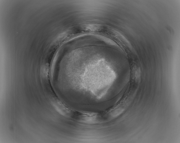 X0000111160328200907281158