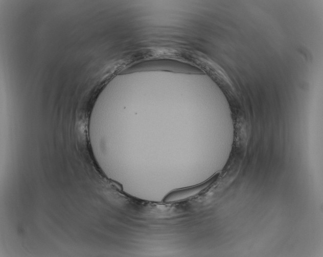 X0000111160329200907281158