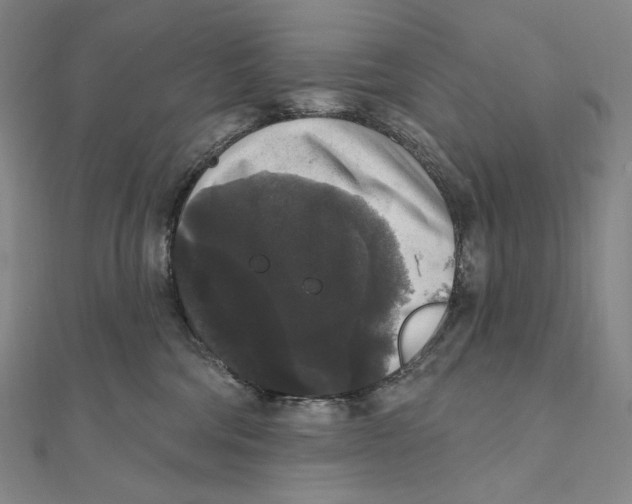 X0000111160330200907281158