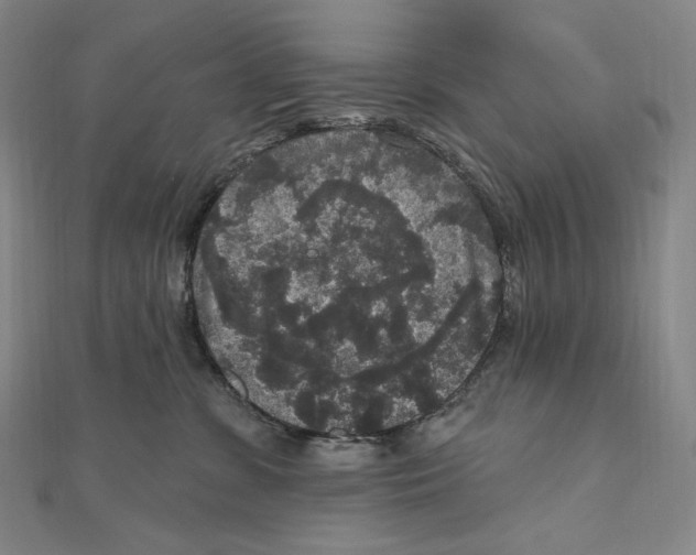 X0000111160331200907281158