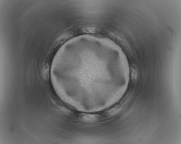 X0000111160332200907281158