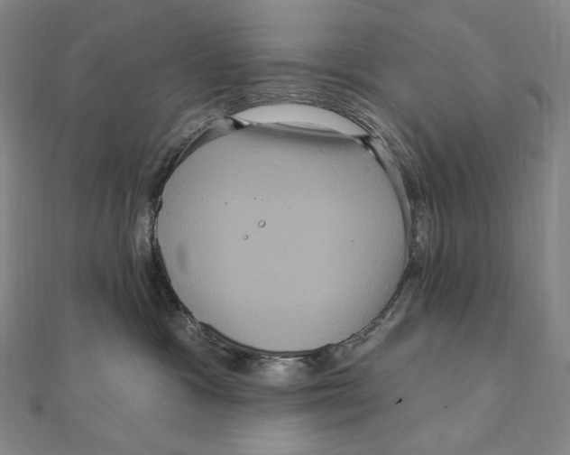 X0000111160333200907281158