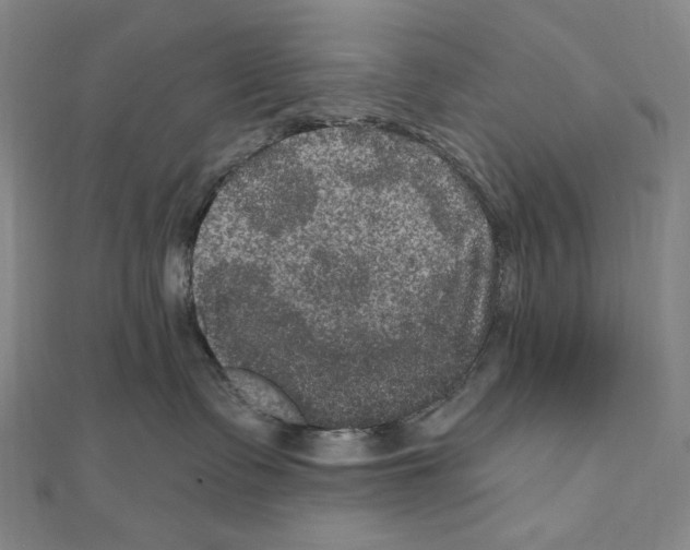 X0000111160335200907281158