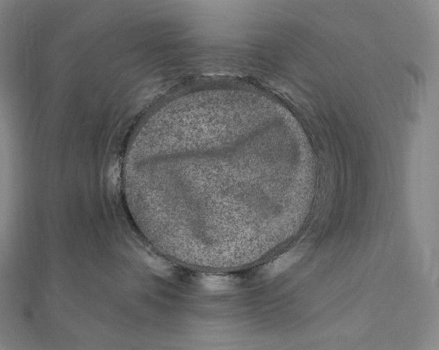 X0000111160336200907281158