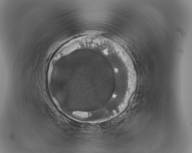 X0000111160337200907281157