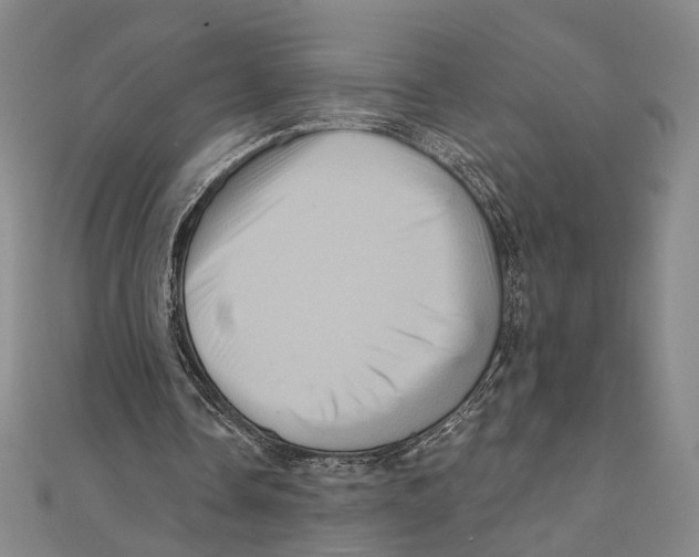 X0000111160338200907281157