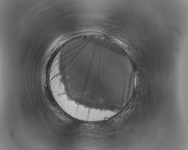X0000111160339200907281157