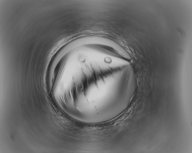 X0000111160340200907281157