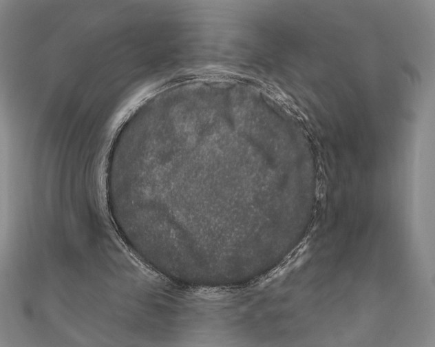 X0000111160341200907281157