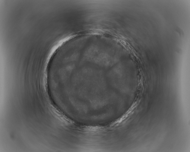X0000111160342200907281157