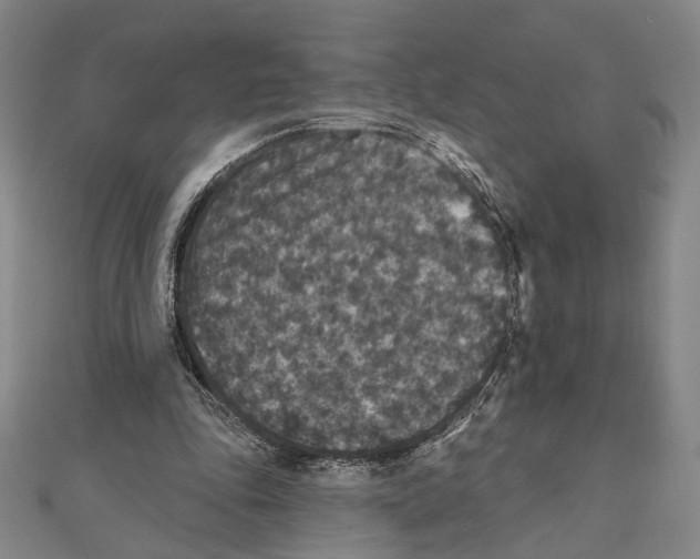 X0000111160343200907281157