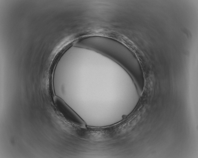 X0000111160344200907281157