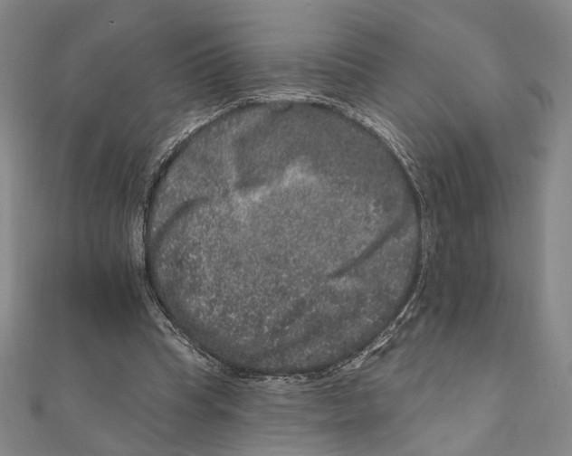 X0000111160345200907281157
