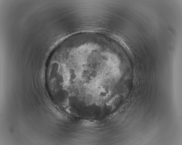 X0000111160346200907281157