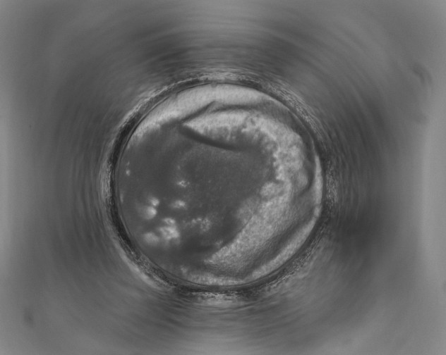 X0000111160347200907281157