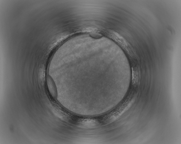 X0000111160348200907281157