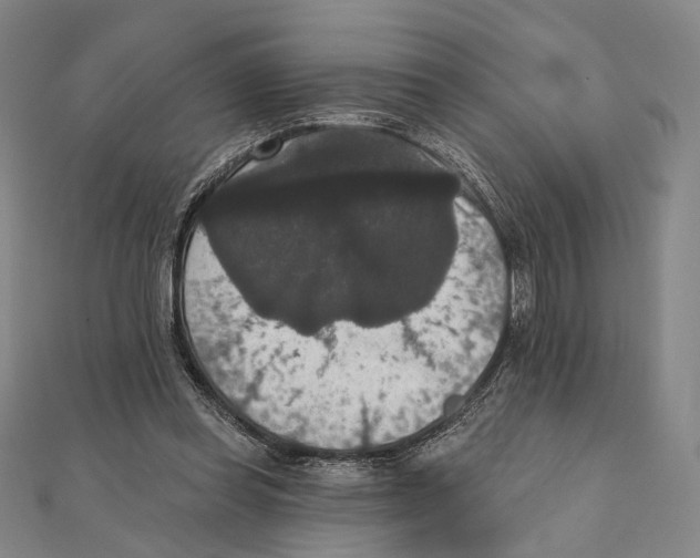 X0000111160349200907281157