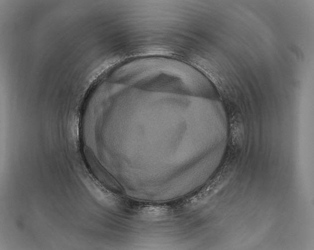 X0000111160350200907281157
