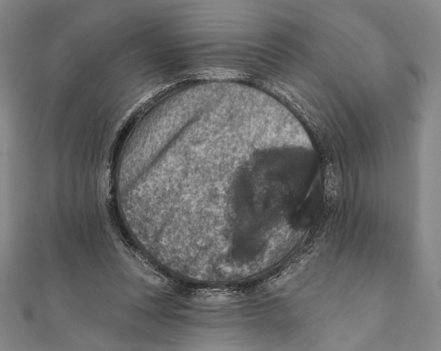 X0000111160351200907281157