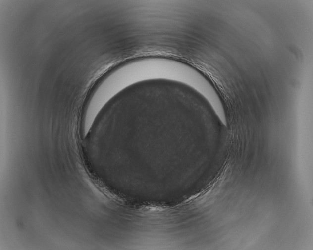 X0000111160352200907281158