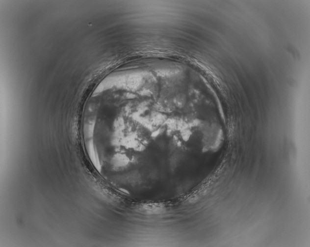 X0000111160353200907281158