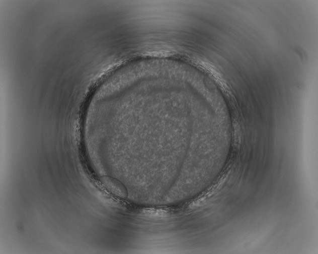 X0000111160354200907281158