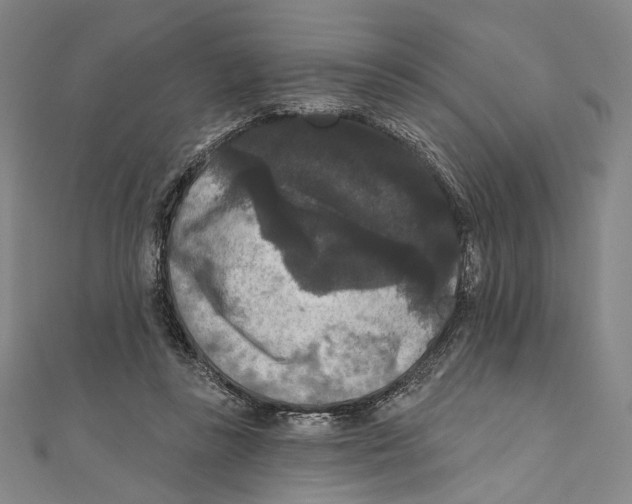 X0000111160355200907281158