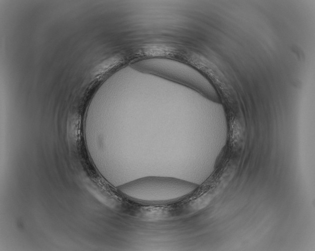 X0000111160356200907281158