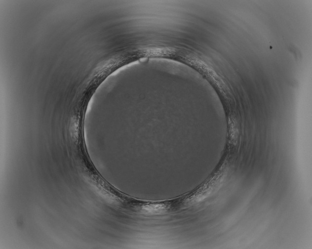 X0000111160357200907281158