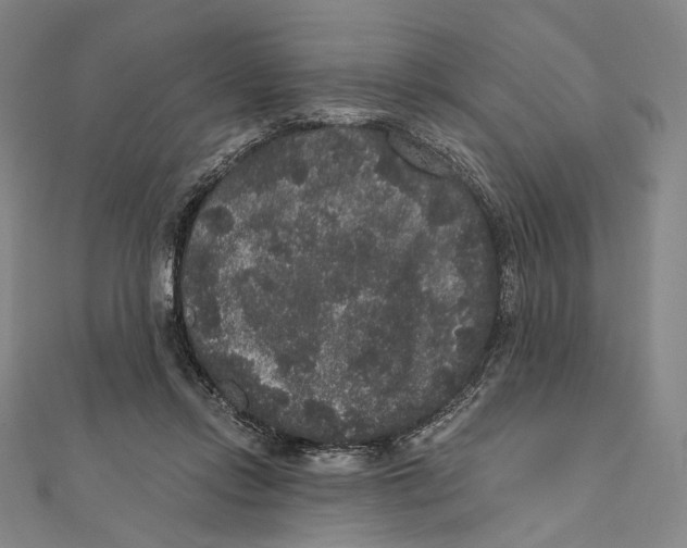 X0000111160358200907281158