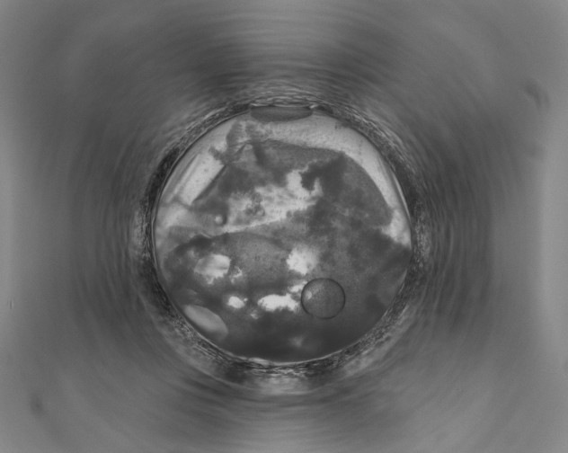 X0000111160359200907281158