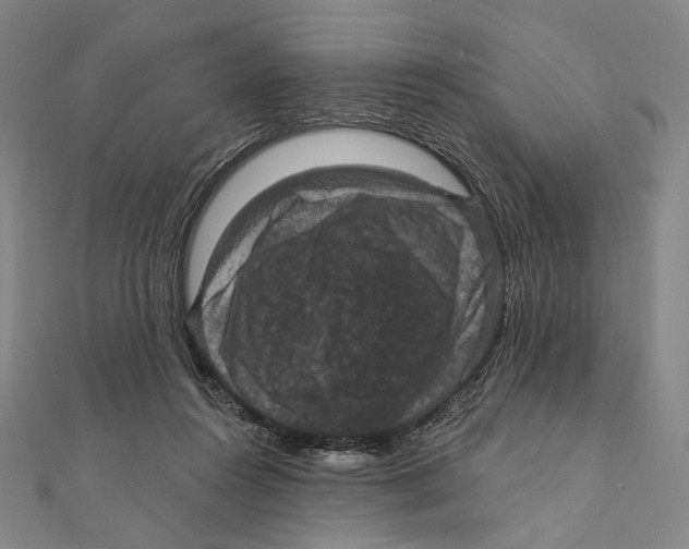 X0000111160360200907281158