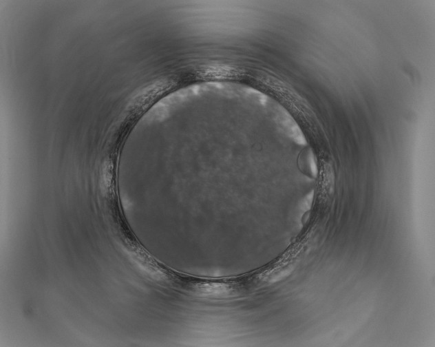 X0000111160361200907281158