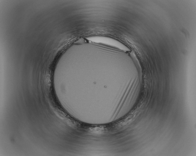 X0000111160362200907281158