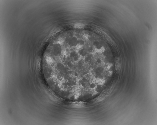 X0000111160363200907281158