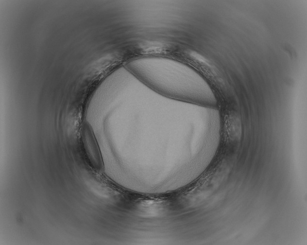 X0000111160364200907281158